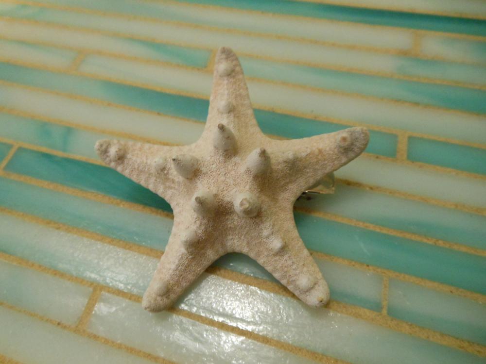 White Knobby Starfish Barrette - Beach Wedding - Starfish Hair Clip